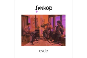 vitrinde-dikkat-cekici-bir-fikir-incelikle-serpistirilen-albumler-DyaEz4hy.jpg