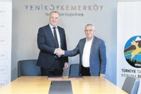 tasinan-agaclari-ttkd-takip-edecek-mP2IVuT3.jpg