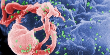 turkiyede-hiv-ile-yasayan-her-uc-kisiden-birinde-frengi-goruldu-yeni-bulgular-ve-etkileri-kkqmbV1x.jpg