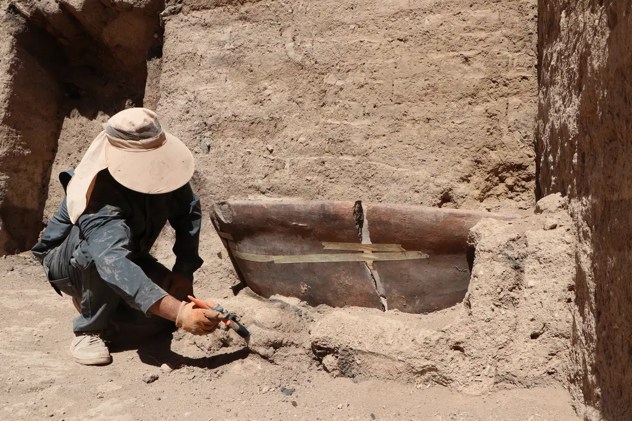 Urartuların Genetik Mirası: DNA Araştırmalarıyla Yüzyılların Sütununda Açıkladığımız Derin Tarih