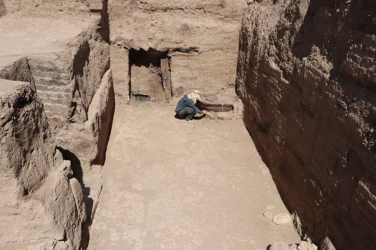 Urartuların Genetik Mirası: DNA Araştırmalarıyla Yüzyılların Sütununda Açıkladığımız Derin Tarih