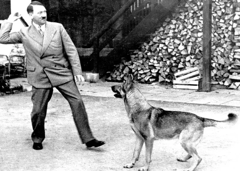 Hitler’in Serveti: Ölümünden Sonra Kimin Hani Olduğuna Dair İnce Bir İtham ve Tarihi İzlekler