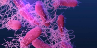 salmonella-nedir-gida-zehirlenmesine-karsi-asi-gelistiriliyor-bilim-zirvesindeki-umut-ve-tehlikesi-1yGmg8nh.jpg