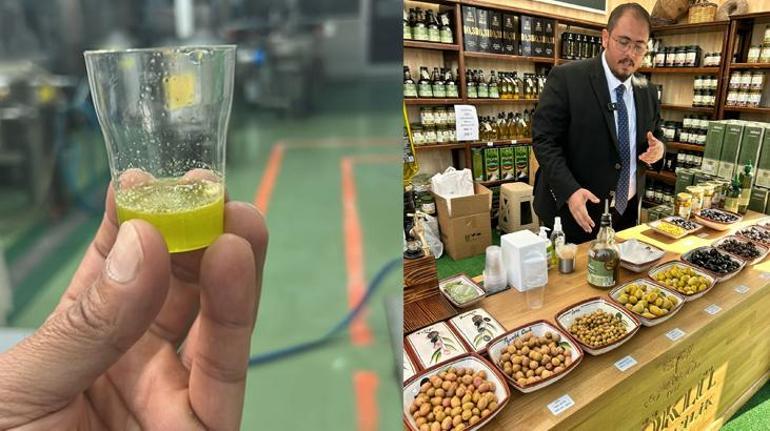 Zeytinyağı Başkentinde Hasat ve Turizm Festivali: 506 Milyon Dolarlık Gelirle Dönüyor