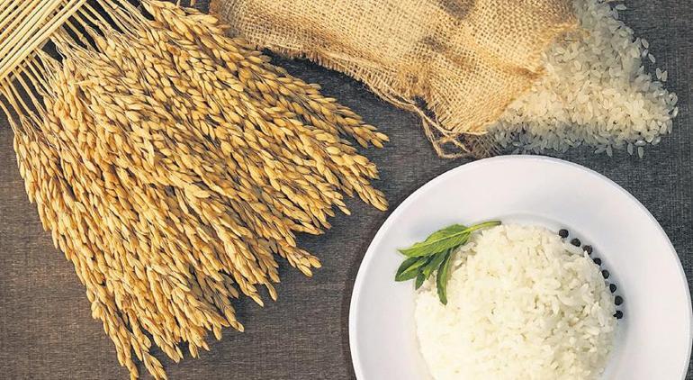 Avrupa Sofralarında Türk Lezzetlerinin İmzası: Gururlu Bir Tad Yolculuğu