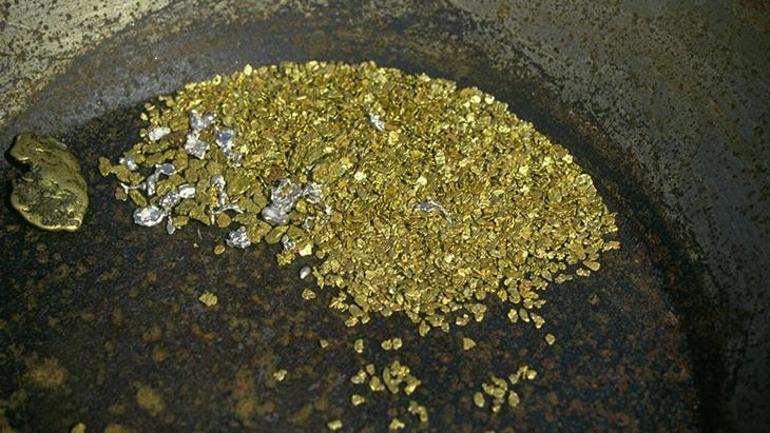 Türkiye’den Çıkan Yılda 40 Ton! Taşının Alan Nehirde Yakalıyor: Altın Çağı Başlamadı