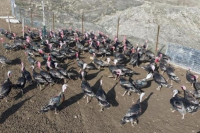 almanyadan-memleketine-donup-kendi-isinin-patronu-oldu-cevre-sehirlerde-de-buyumek-istiyoruz-N3jfXjND.jpg