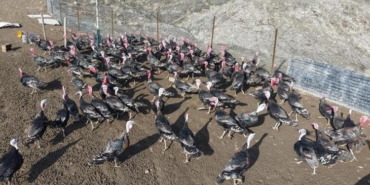 almanyadan-memleketine-donup-kendi-isinin-patronu-oldu-cevre-sehirlerde-de-buyumek-istiyoruz-N3jfXjND.jpg
