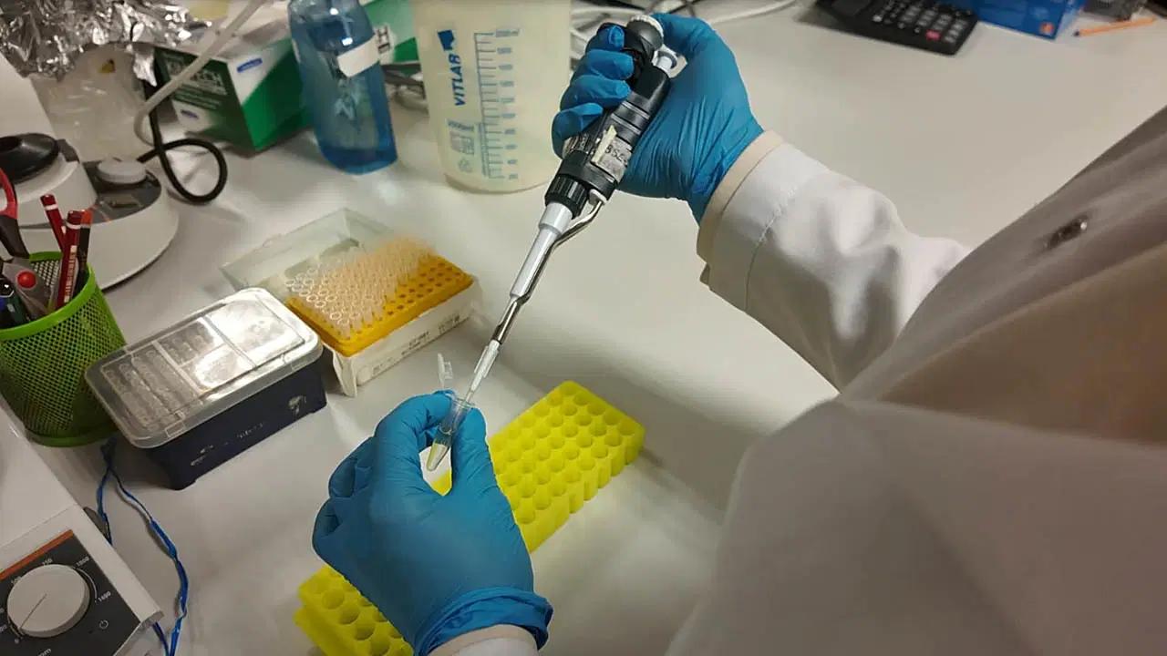 kkka-asisinda-klinik-oncesi-calismalar-tamamlandi-yeni-adimlar-ve-beklentiler-LFKwGI2Z.jpg