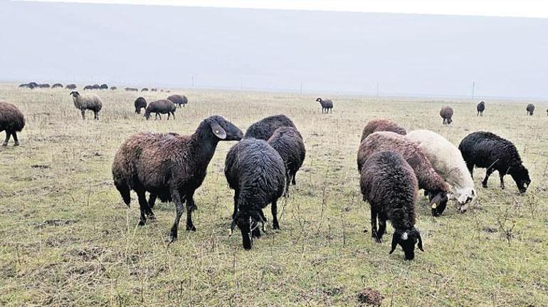 Kuraklığa Uygunluk İçin Hazırlanan Harita İnternet Sitesinde Yayın İçin Özelleştirildi
