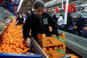 turkiyenin-mandalina-ihracatinda-rekor-kirildigi-duyurusu-global-pazar-liderligi-icin-yeni-bir-adim-NCIbeibt.jpg