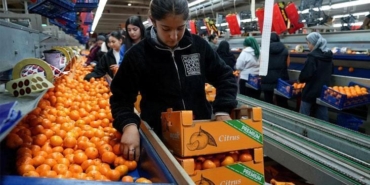 turkiyenin-mandalina-ihracatinda-rekor-kirildigi-duyurusu-global-pazar-liderligi-icin-yeni-bir-adim-NCIbeibt.jpg