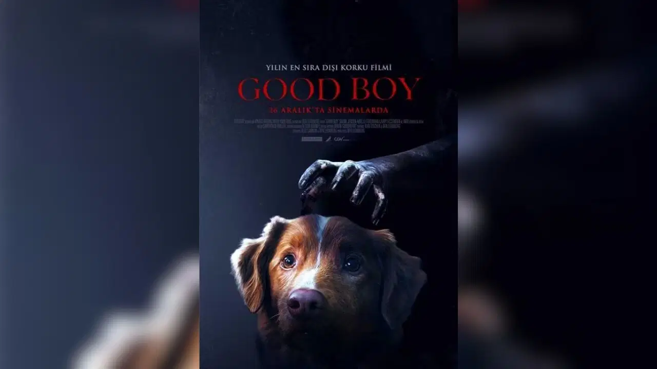 Yılın Son Haftasında Sinema Perdesini Sallayan Yedi Yeni Yapım: Bu Hafta Vizyona Giren Filmler