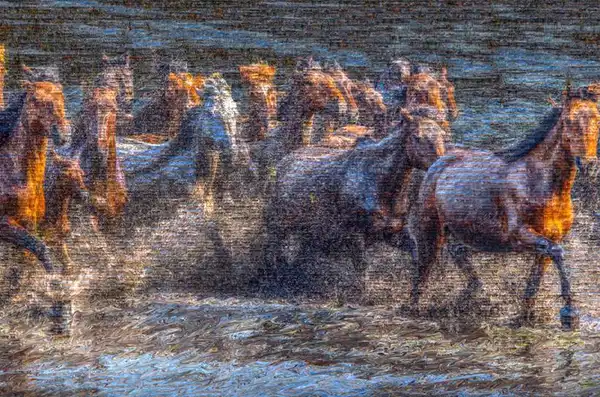 A. Halim Kulaksız’ın ‘Vahşi ve Özgür’ Sergisi Piramid Sanat’ta Açıldı: Özgürlüğün Fotoğrafının İzdüşümü