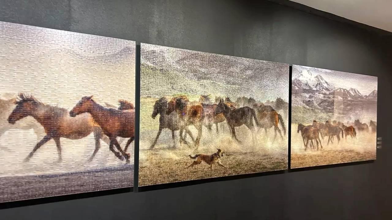 a-halim-kulaksizin-vahsi-ve-ozgur-sergisi-piramid-sanatta-acildi-ozgurlugun-fotografinin-izdusumu-RgKjO65f.jpg