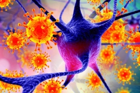 nipah-virusu-icin-uzmandan-uyari-olumcul-seyir-gorulebiliren-guncel-bilgiler-ve-onlemler-7dSfyLhJ.jpg