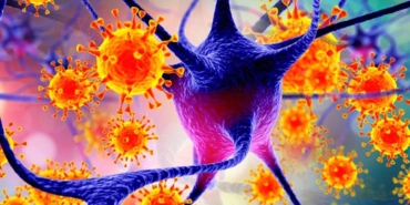 nipah-virusu-icin-uzmandan-uyari-olumcul-seyir-gorulebiliren-guncel-bilgiler-ve-onlemler-7dSfyLhJ.jpg