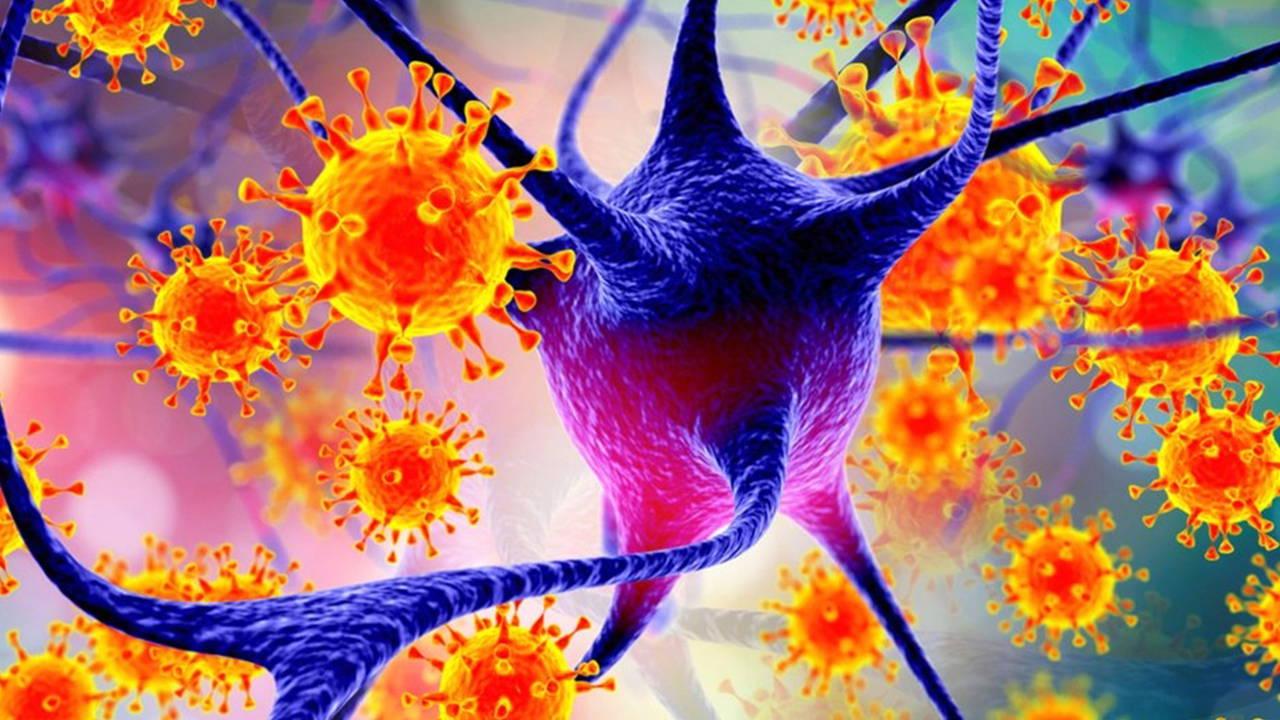 nipah-virusu-icin-uzmandan-uyari-olumcul-seyir-gorulebiliren-guncel-bilgiler-ve-onlemler-7dSfyLhJ.jpg