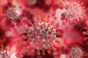 turkiyede-influenza-ates-kas-agrisi-ve-yorgunlugun-yayilimi-artiyor-satiCAdA.jpg