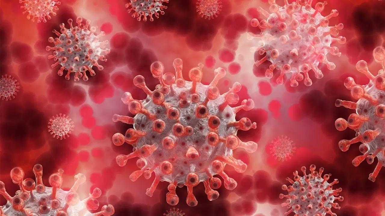 turkiyede-influenza-ates-kas-agrisi-ve-yorgunlugun-yayilimi-artiyor-satiCAdA.jpg