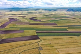 arsa-ve-tarla-satislari-2025te-16-milyonu-asti-piyasa-dinamikleri-ve-yatirim-firsatlari-Xlawzig9.jpg