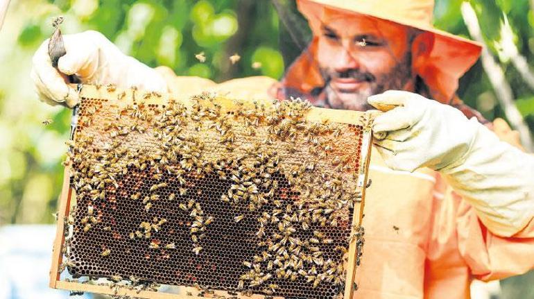 Gıda Güvenliğinde Yeni Dönem: Et ve Sütte Çifte Onayla Yenilikçi Güvence