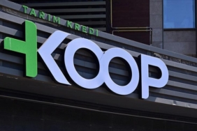 tarim-kredi-koop-marketlerde-sabit-fiyatla-donuk-kiyma-satisi-baslayacak-wiP1qa9H.jpg