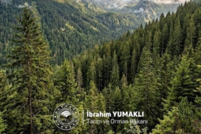 bakan-yumakli-dunya-ormancilik-gunu-ve-orman-haftasini-kutladi-doganin-korunmasi-icin-birlikte-adimlar-Lct1YqcZ.jpg
