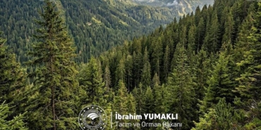 bakan-yumakli-dunya-ormancilik-gunu-ve-orman-haftasini-kutladi-doganin-korunmasi-icin-birlikte-adimlar-Lct1YqcZ.jpg