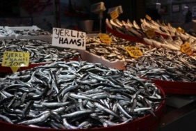 balikci-tezgahlarinda-hamsi-ve-istavrit-bollugu-karadenizden-taze-bir-flesme-1VBUyWJn.jpg