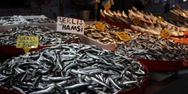 balikci-tezgahlarinda-hamsi-ve-istavrit-bollugu-karadenizden-taze-bir-flesme-1VBUyWJn.jpg