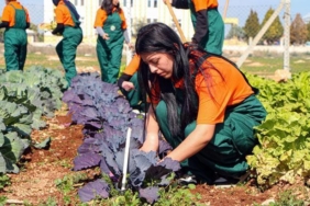 cukurovada-gelecegin-ziraatcilari-tarim-lisesinde-yetisiyor-BSY4VFnR.jpg