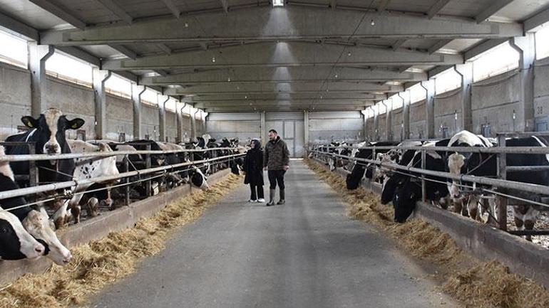 Devlet Desteğiyle Ev Hanımlığından Patronluğa: 900 Hayvanlı Çiftliğin Sahibi Olan Kadın