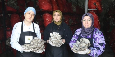 girisimci-kadinlar-yilda-60-ton-istiridye-mantari-uretiyor-HW5ODsd4.jpg