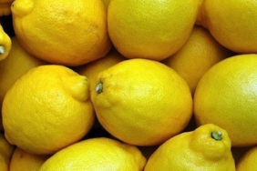 limonda-gumruk-vergisi-yeniden-duzenlendi-yeni-doneme-hazirlik-ve-etkileri-KxBNTXCF.jpg