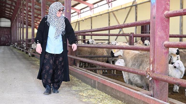 Muhasebeciliği Bırakarak Memleketine Dönüş ve Hibe Desteğiyle Hayali Gerçekleşen En Güzel Şey: Çalışmanın Güzelliği