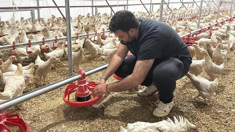 Tavuk Çiftliği Hayali İçin Otomobilini Satan Başarılı Bir Girişimci