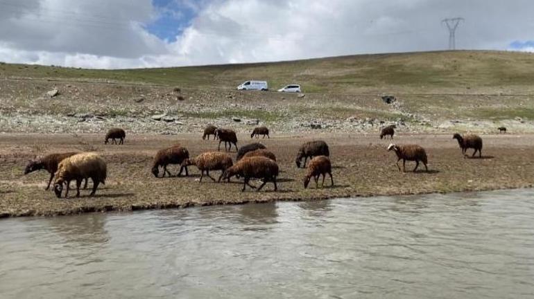 120 Bin TL Maaşla Çalışacak Eleman Yok: Zorlu ve Emek Gerektiren İşte İnsanlar Neden İstemediklerini Anlatıyor