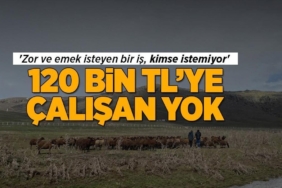 120-bin-tl-maasla-calisacak-eleman-yok-zorlu-ve-emek-gerektiren-iste-insanlar-neden-istemediklerini-anlatiyor-Txl79QCG.jpg