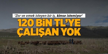 120-bin-tl-maasla-calisacak-eleman-yok-zorlu-ve-emek-gerektiren-iste-insanlar-neden-istemediklerini-anlatiyor-Txl79QCG.jpg