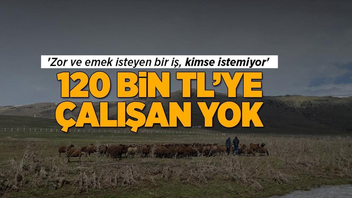 120-bin-tl-maasla-calisacak-eleman-yok-zorlu-ve-emek-gerektiren-iste-insanlar-neden-istemediklerini-anlatiyor-Txl79QCG.jpg