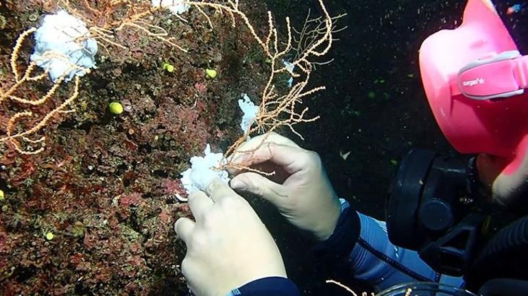 Bakan Kurum: Doğayı Mercanlarla Onarıyoruz