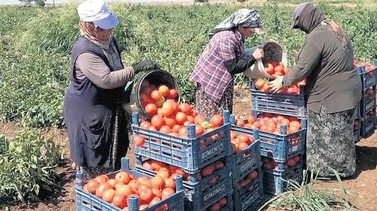 Çiftçiden Zayiat Kesintisine Son: Tarımsal Destek ve Adalet İçin Yeni Dönem