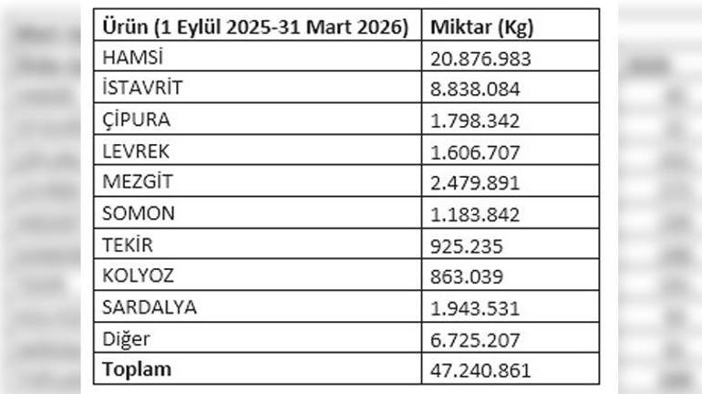 Gürpınar’da Mart Bereketi: Toprak ve İnsan İç içe