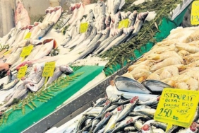 gurpinarda-mart-bereketi-toprak-ve-insan-ic-ice-UqnzKqET.jpg