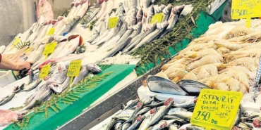 gurpinarda-mart-bereketi-toprak-ve-insan-ic-ice-UqnzKqET.jpg