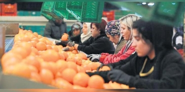 ihracatta-kadinlar-yuzde-235-pay-aldi-Rz8OkrZK.jpg