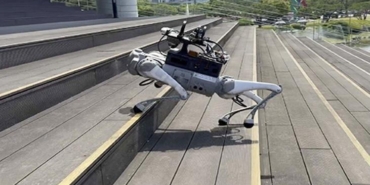 robotlar-hayvanlar-gibi-engelleri-asarken-akilli-gecisin-sasirtici-hikayesi-5DQCeOdb.jpg