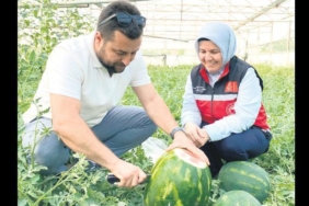 sezonun-ilk-karpuzlari-tezgahta-taze-ve-aromali-secimler-7J7cH8a6.jpg