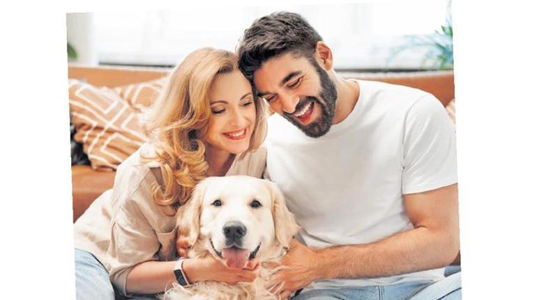Küçük Konut, Büyük Hedef: Web İçin Tekil Başlık